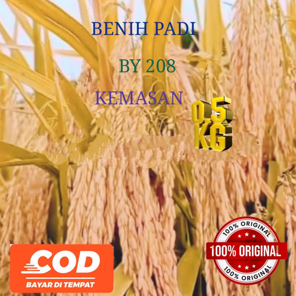 BENIH PADI BY 208 KEMASAN 5KG