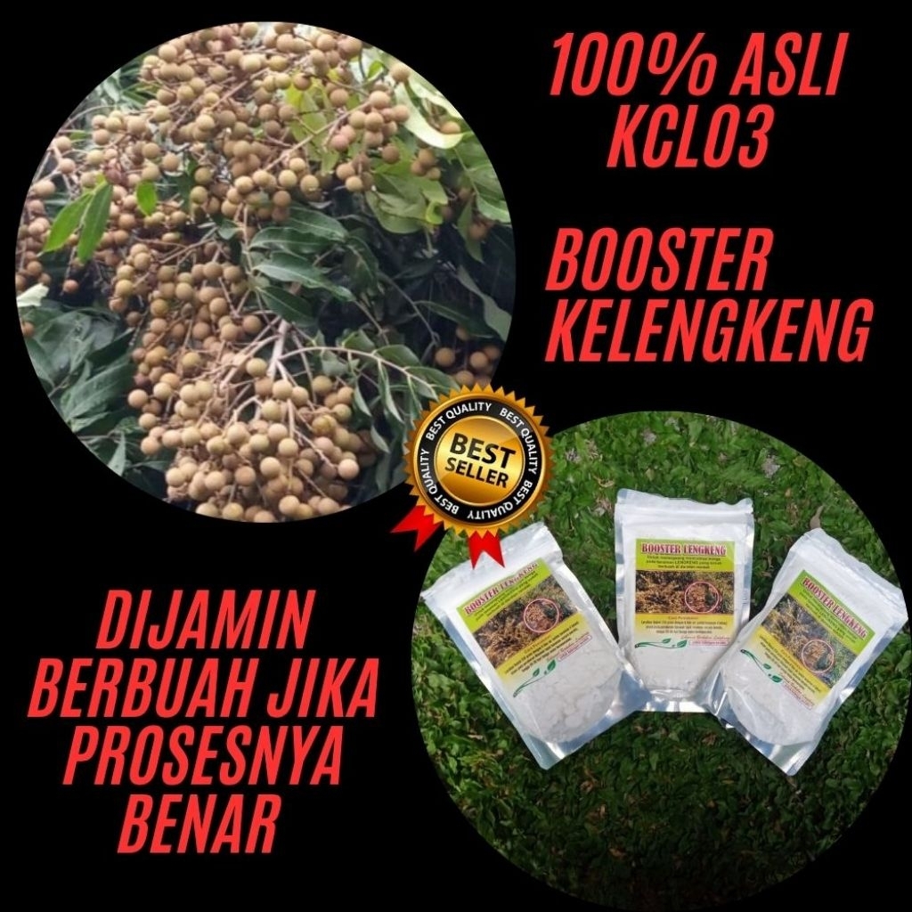 Boster Kelengkeng, Boster Kelengkeng