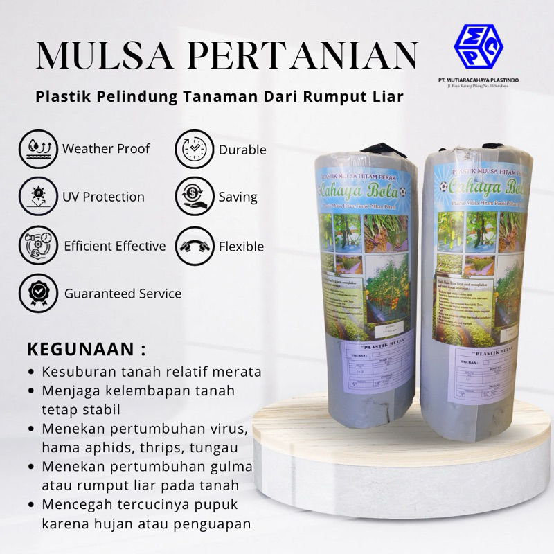 Plastik Mulsa Cahaya Bola tebal 35 mic, lebar 40/80 cm, panjang 300 mtr