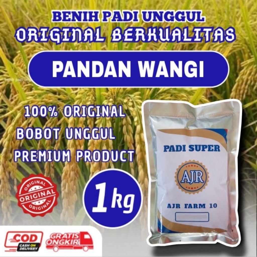 Benih padi unggul(PANDAN WANGI) 1kg