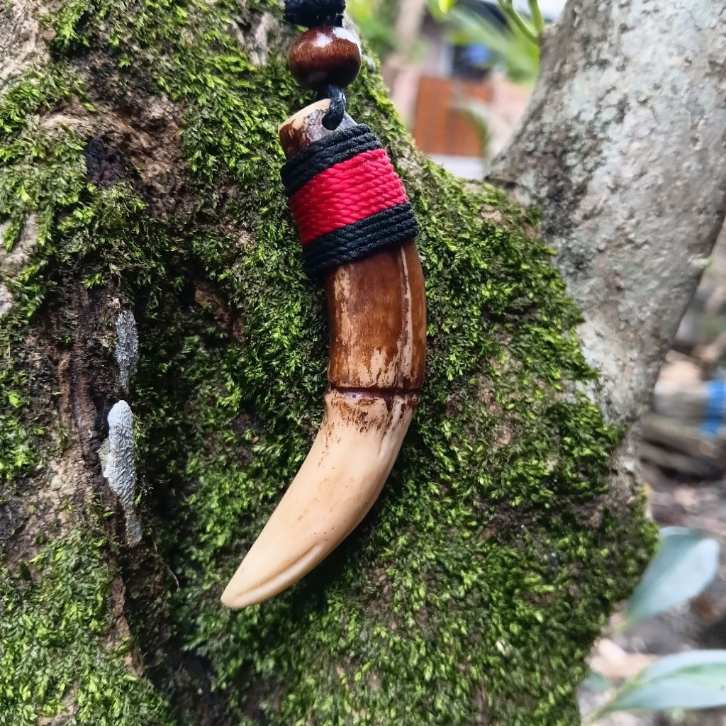 Kalung Taring harimau Replika