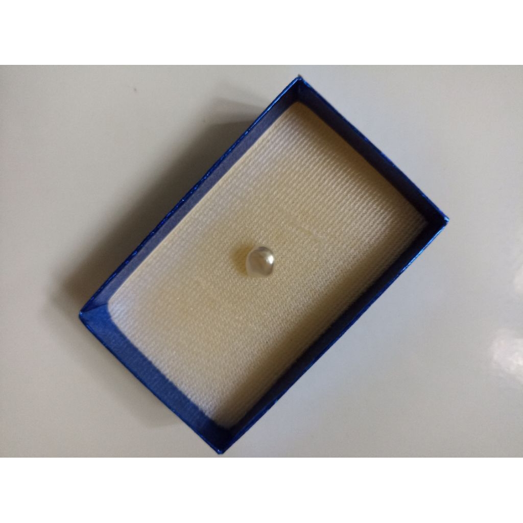 Mutiara Air Laut Asli Kepulauan Maluku