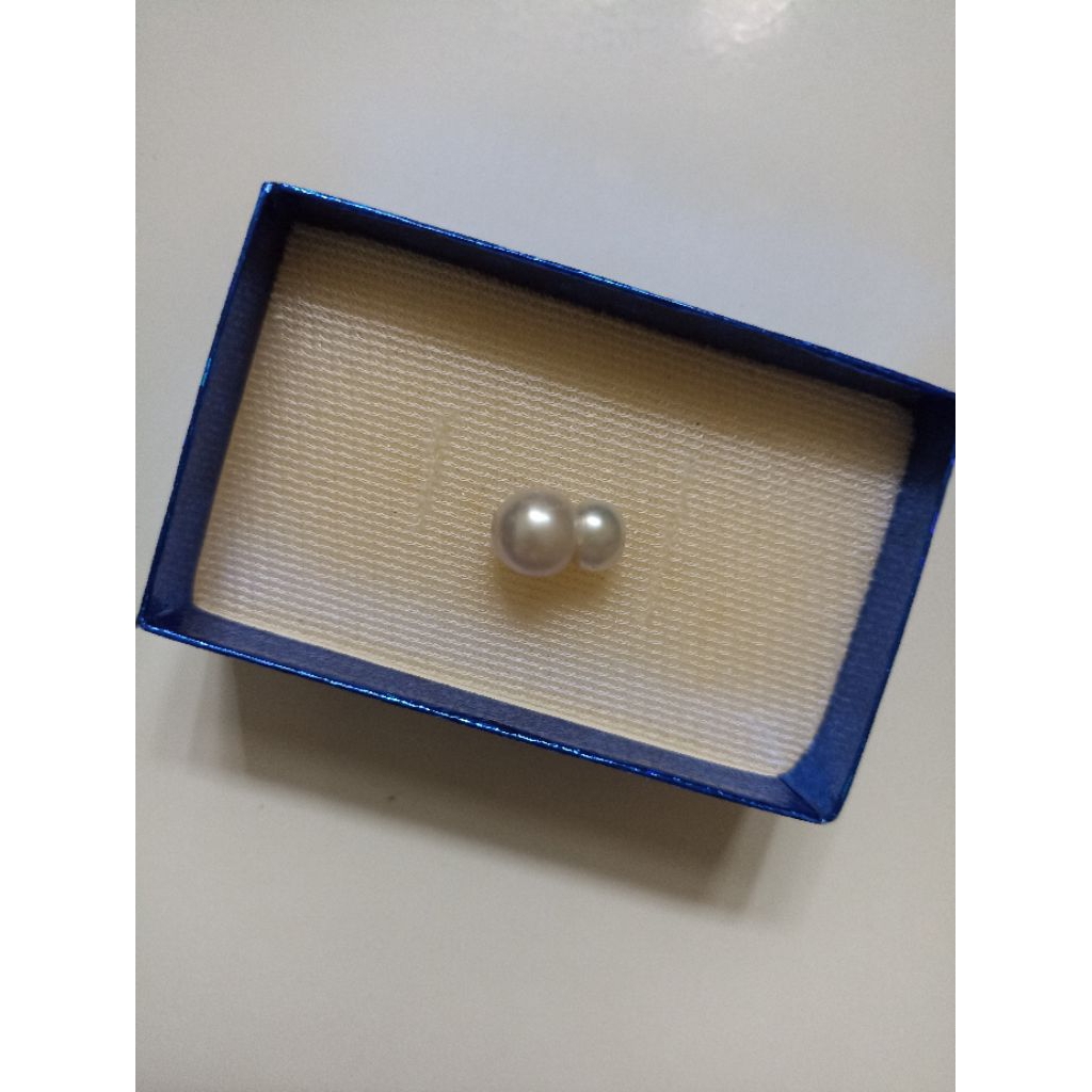 Mutiara Air Laut Asli Kepulauan Maluku