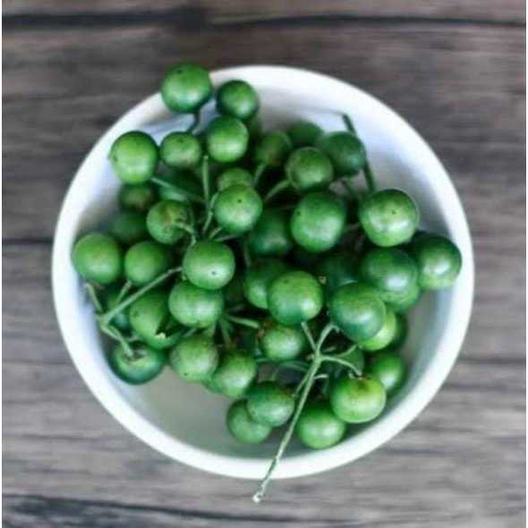 Leunca Hijau Segar Bandung, Fresh dan Segar 1 kg