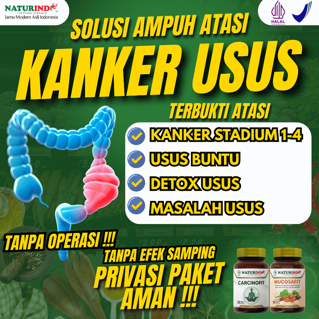 Obat Kanker Usus Detox Usus Besar Susah Bab Sembelit Wasir Herbal