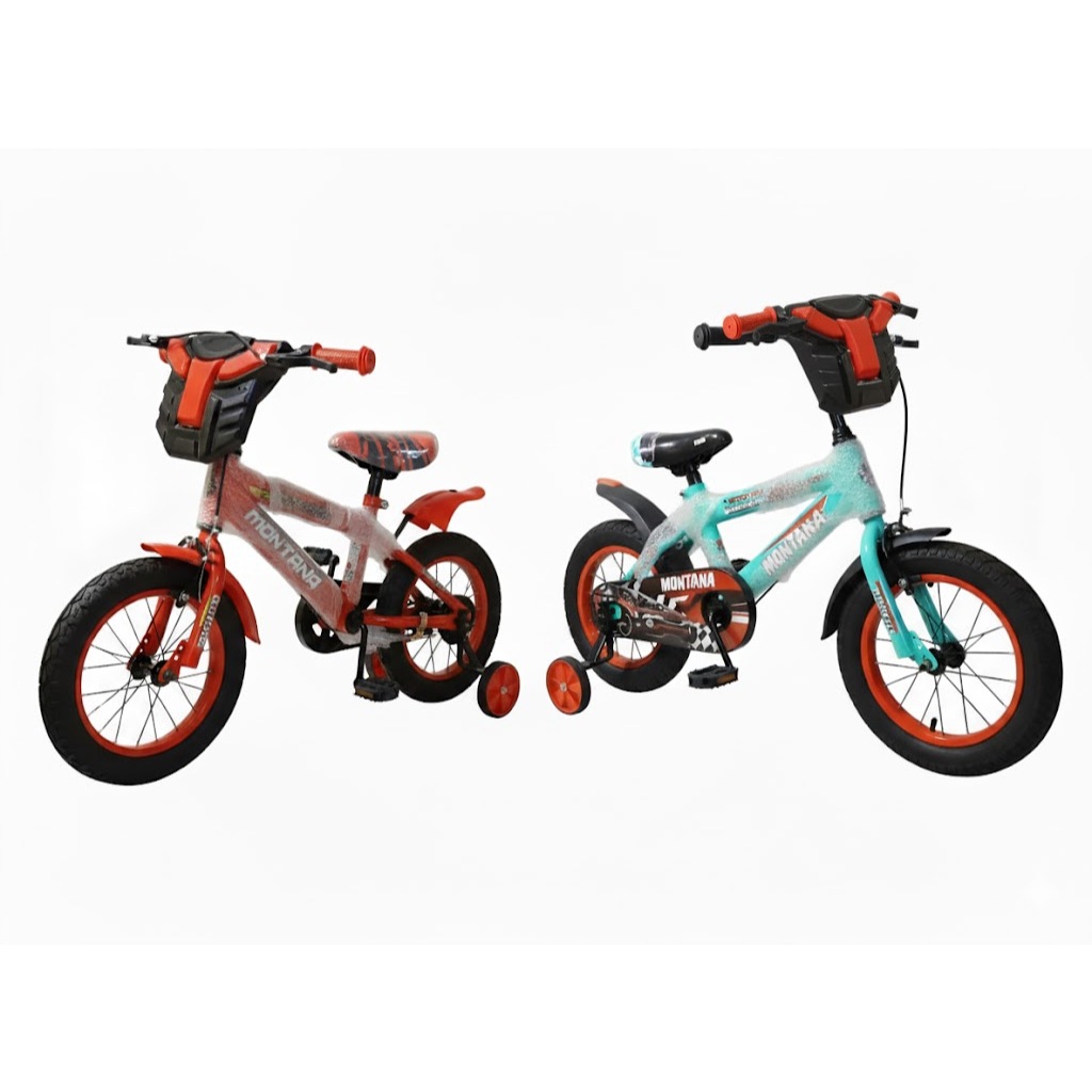 Sepeda Anak 12 inch Ban Besar