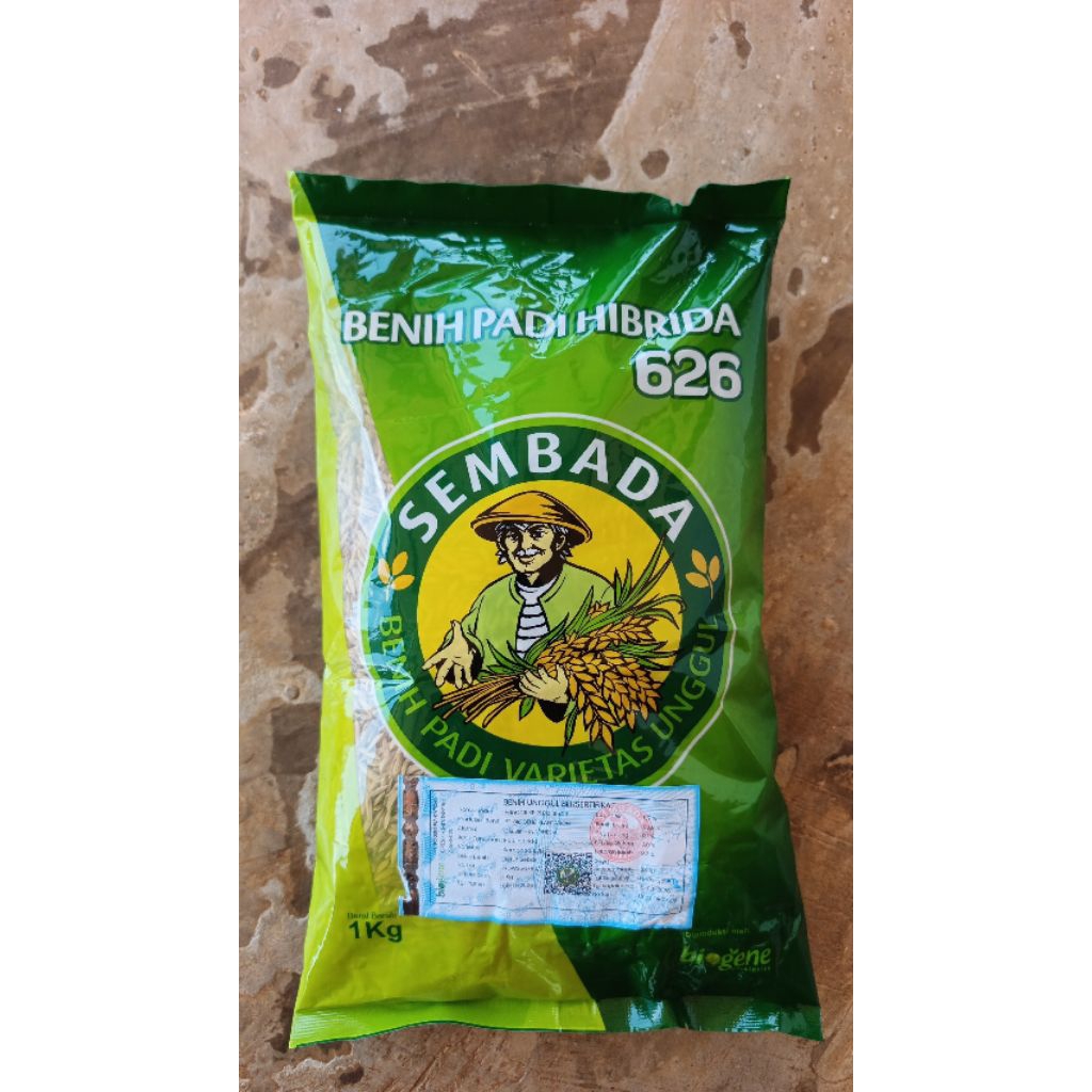 Bibit Padi hibrida Sembada 626 Original