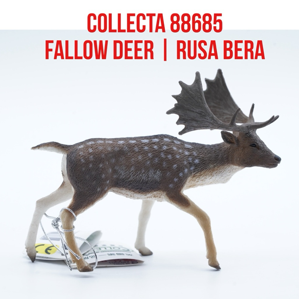 Collecta 88685 Fallow Deer Male Rusa Bera Eropa Jantan Buck Dama |  Mainan Figure Binatang Miniature