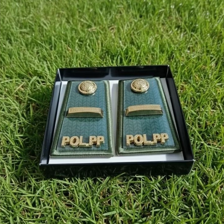 pangkat pol pp golongan 3a