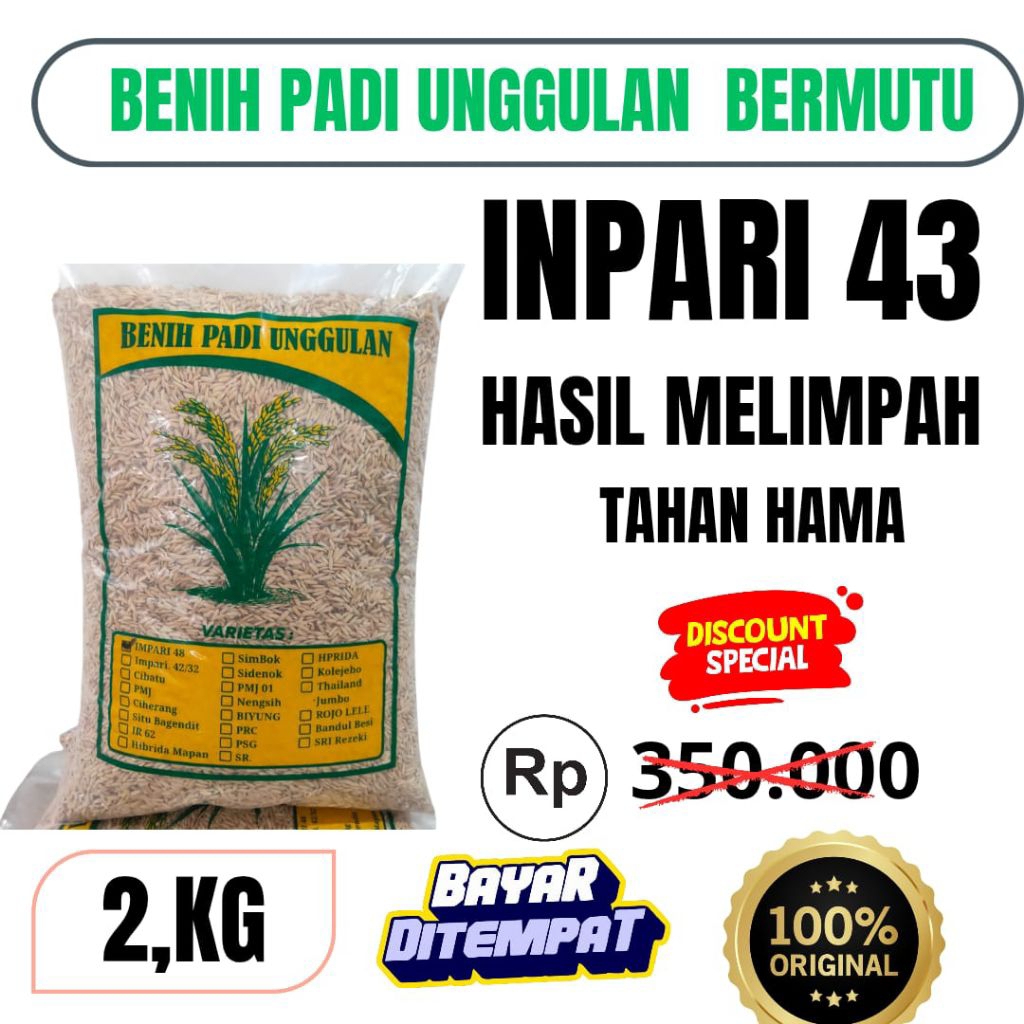 benih padi unggul berkualitas INPARI 43 Kemasan 2KG