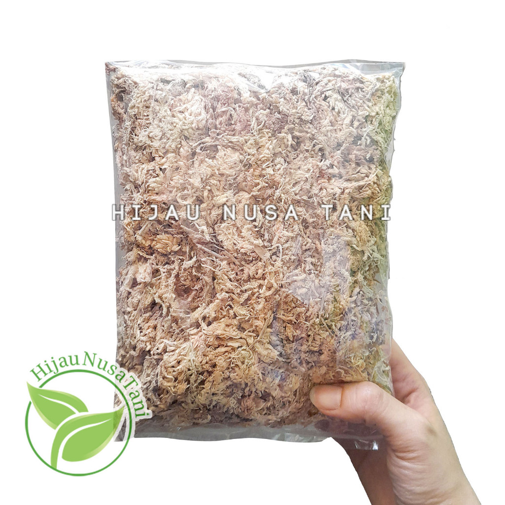 MOSS SPHAGNUM / MOS PUTIH 1 Liter - Media spagnum semai anggrek cangkok tanaman karnivora kandang re