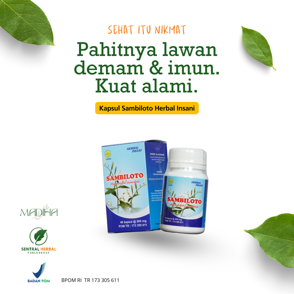 Kapsul Sambiloto Herbal Insani Mengatasi Tekanan Darah Tinggi Sambiloto Kapsul BPOM