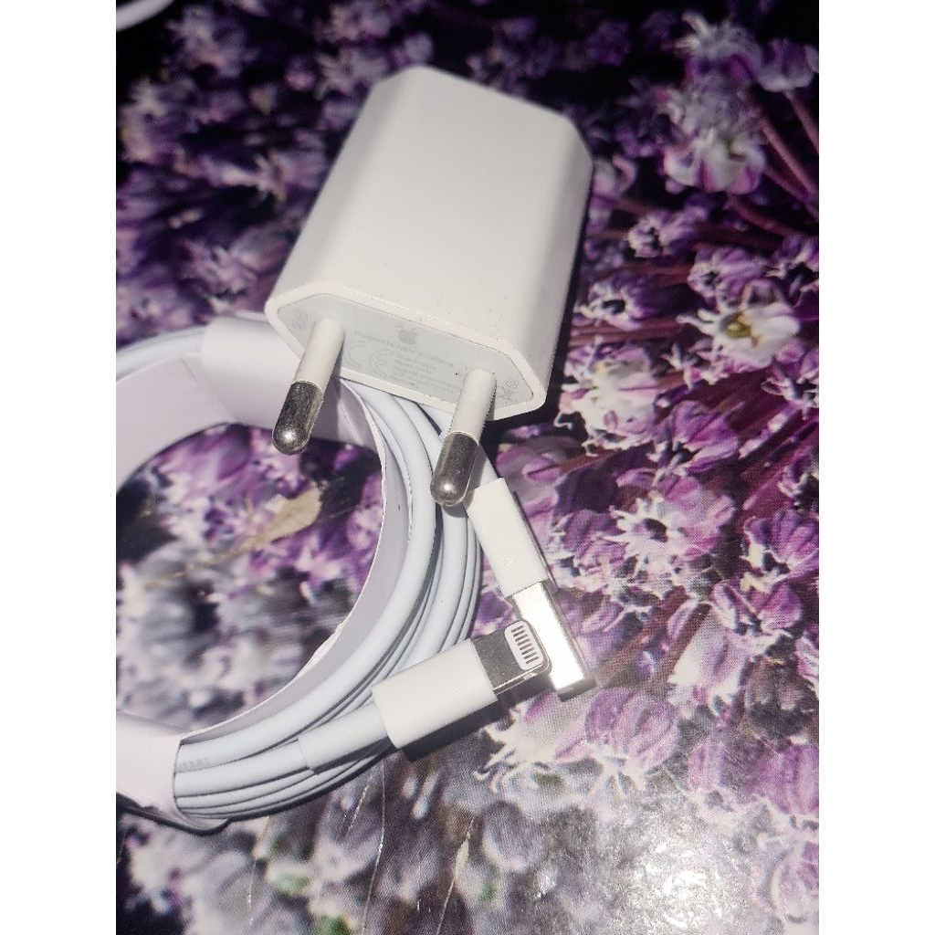 CHARGER APPLE 5 WATT ORI EX IBOX COPOTAN DIJAMIN 100 %