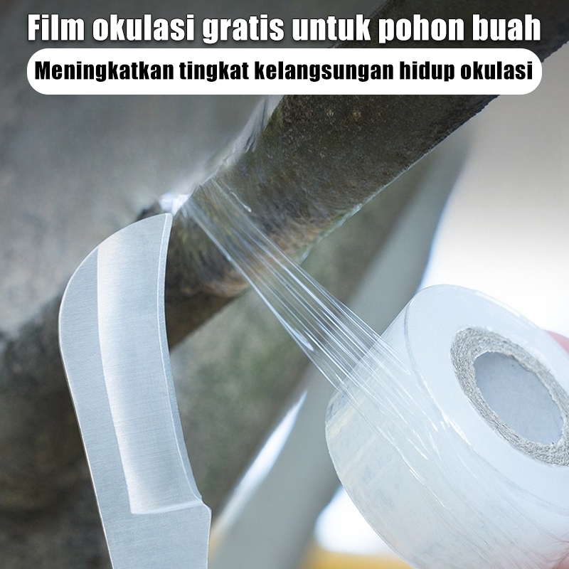 READY PISAU OKULASI + PAKET GRAFTING TAPE / Pisau Grafting Okulasi Lipat Saku Stek Cangkok Ranting