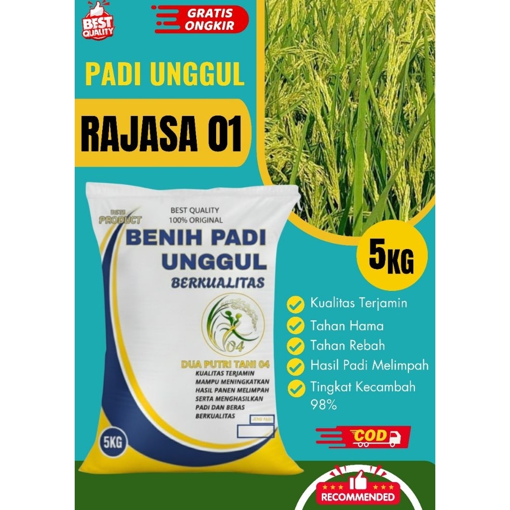 Benih padi unggul RAJASA 01 kemasan 5Kg