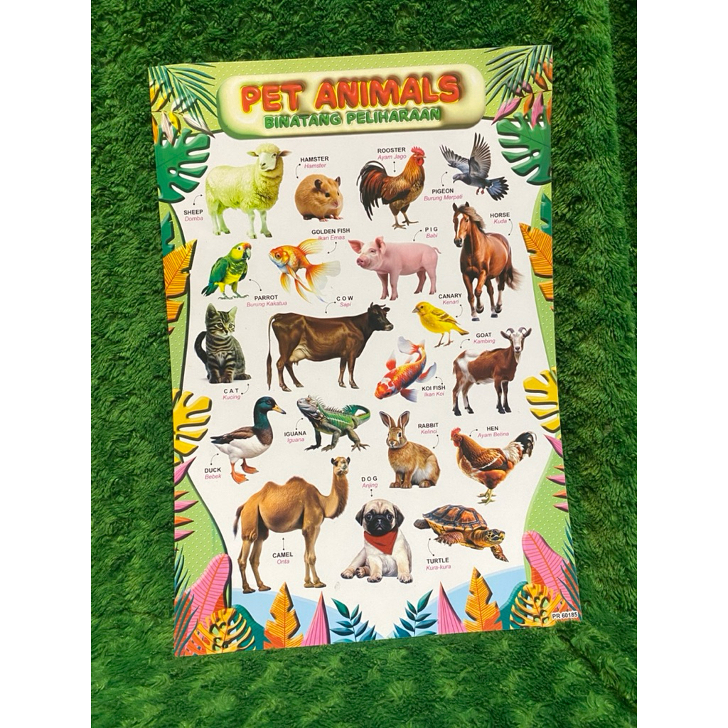 POSTER HEWAN EDUKASI UNTUK ANAK PUD-TK