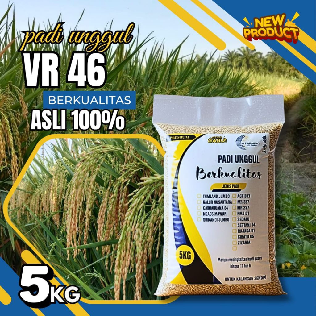 Benih padi unggul vr 46 original kemasan 5kg