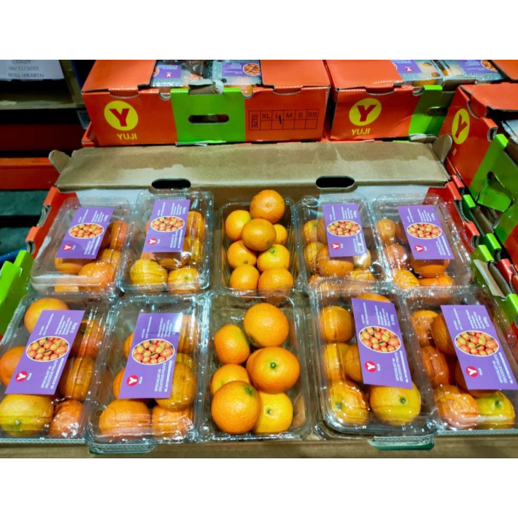 Jeruk Santang madu hijau Santang pack