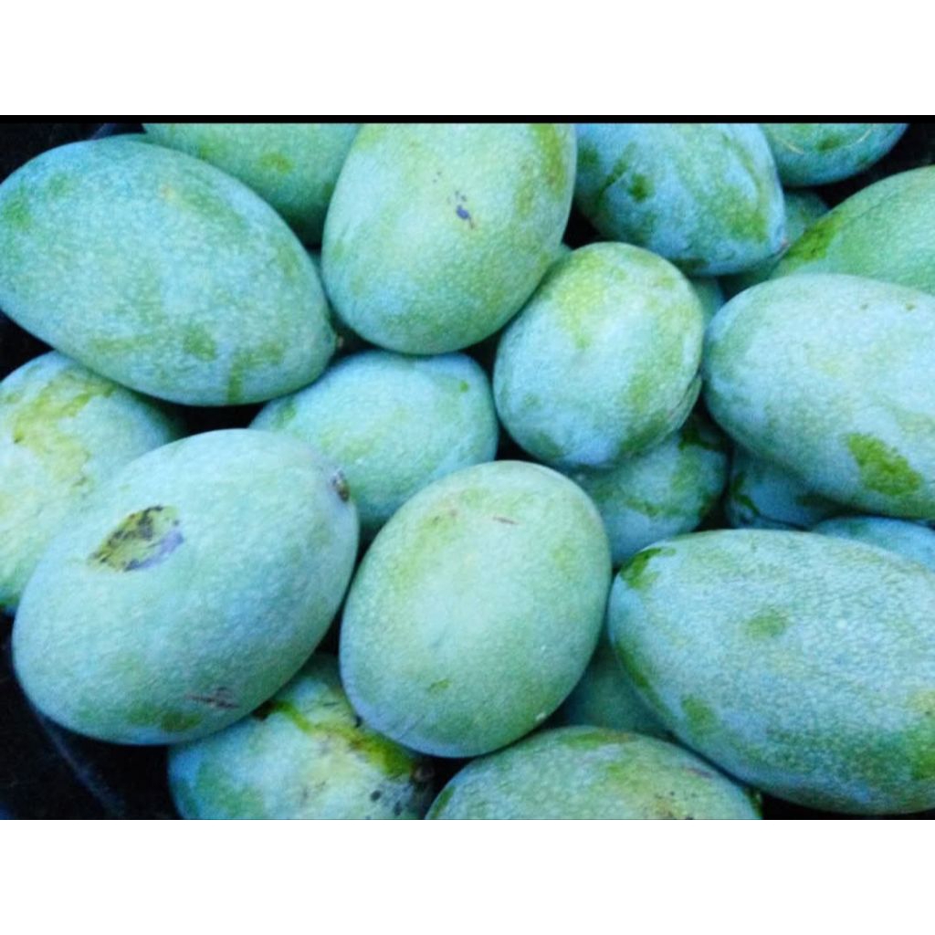 Mangga Manalagi Madu