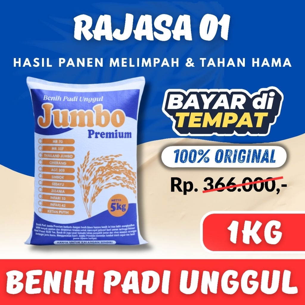 Benih Padi Rajasa 01 Kemasan 1Kg Original