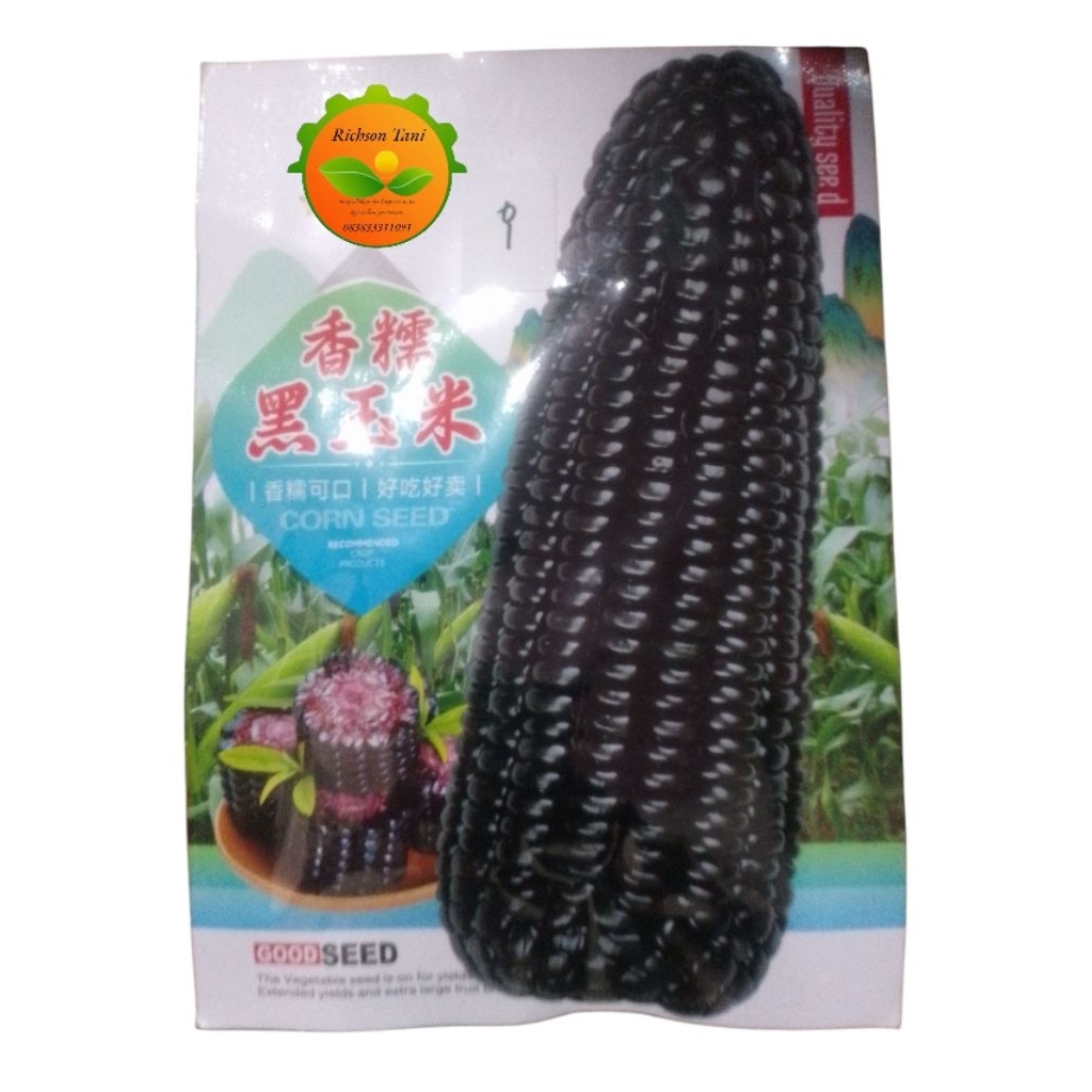 Benih Jagung Ketan Hitam Manis cina