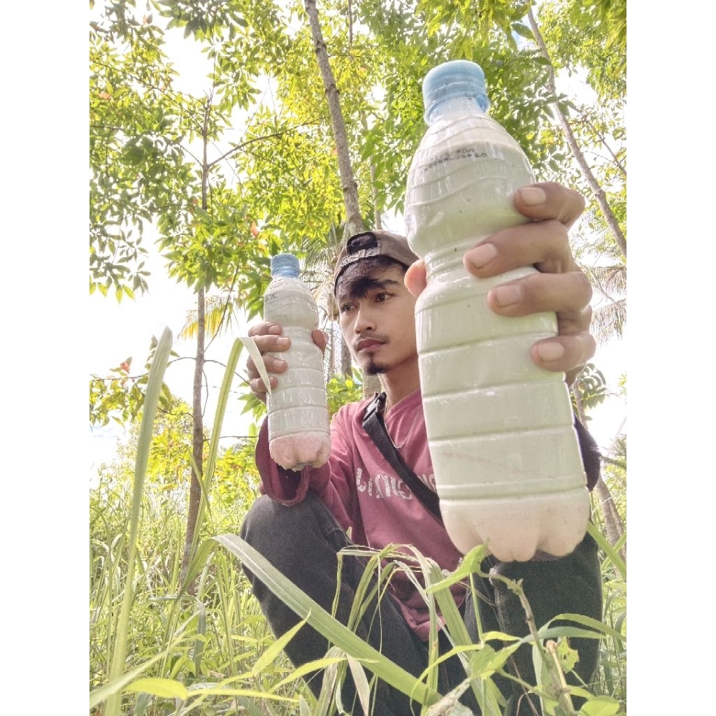 GETAH KARET CAIR LEM PULUT BURUNG ISI 600MIL