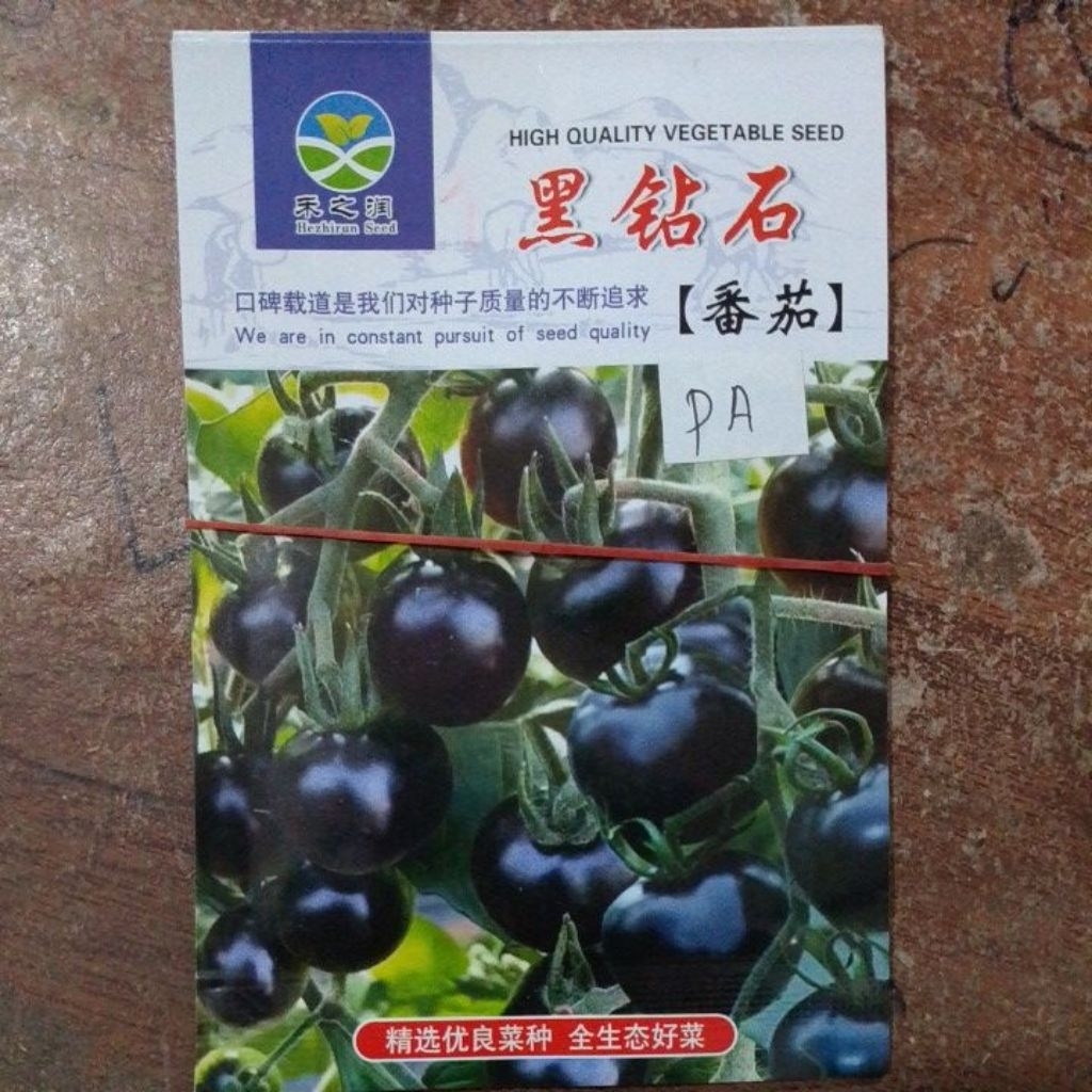 Benih Tomat Hitam cina