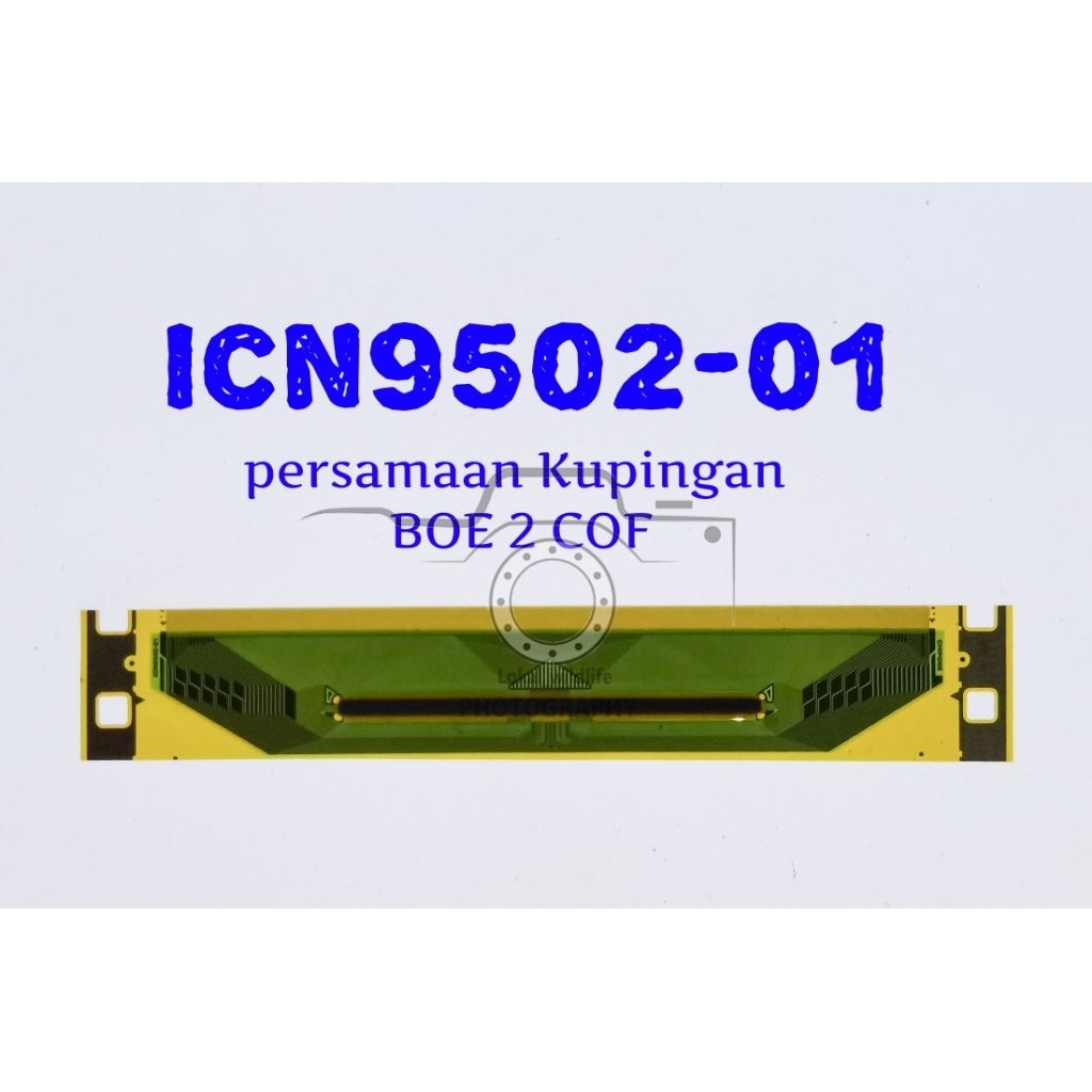 IC KUPINGAN BOE 2COF + 2 KUPING TYPE ICN9502-01