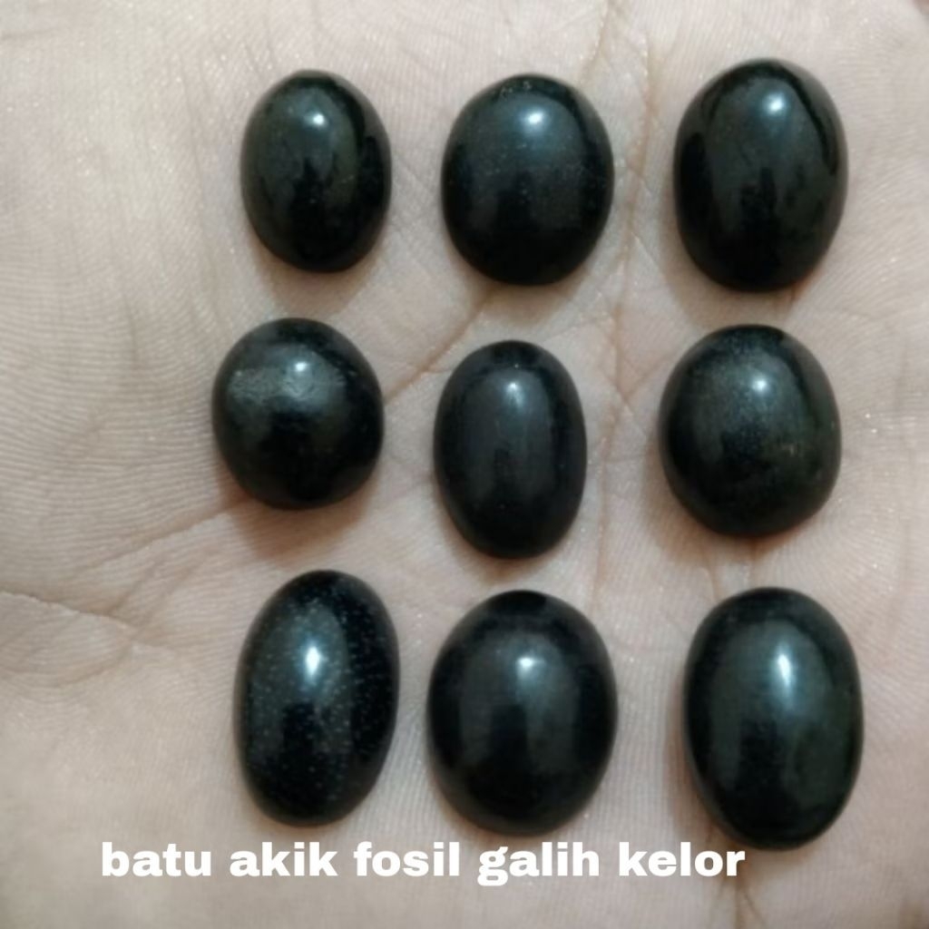 batu akik asli natural vosil galih kelor hitam legam