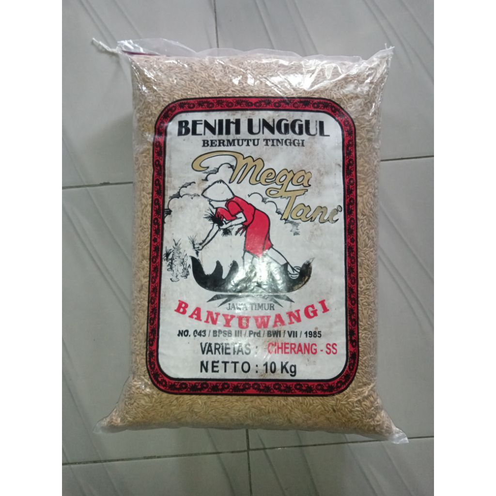 Benih Bibit Padi Varietas Ciherang SS Premium Kemasan 10kg