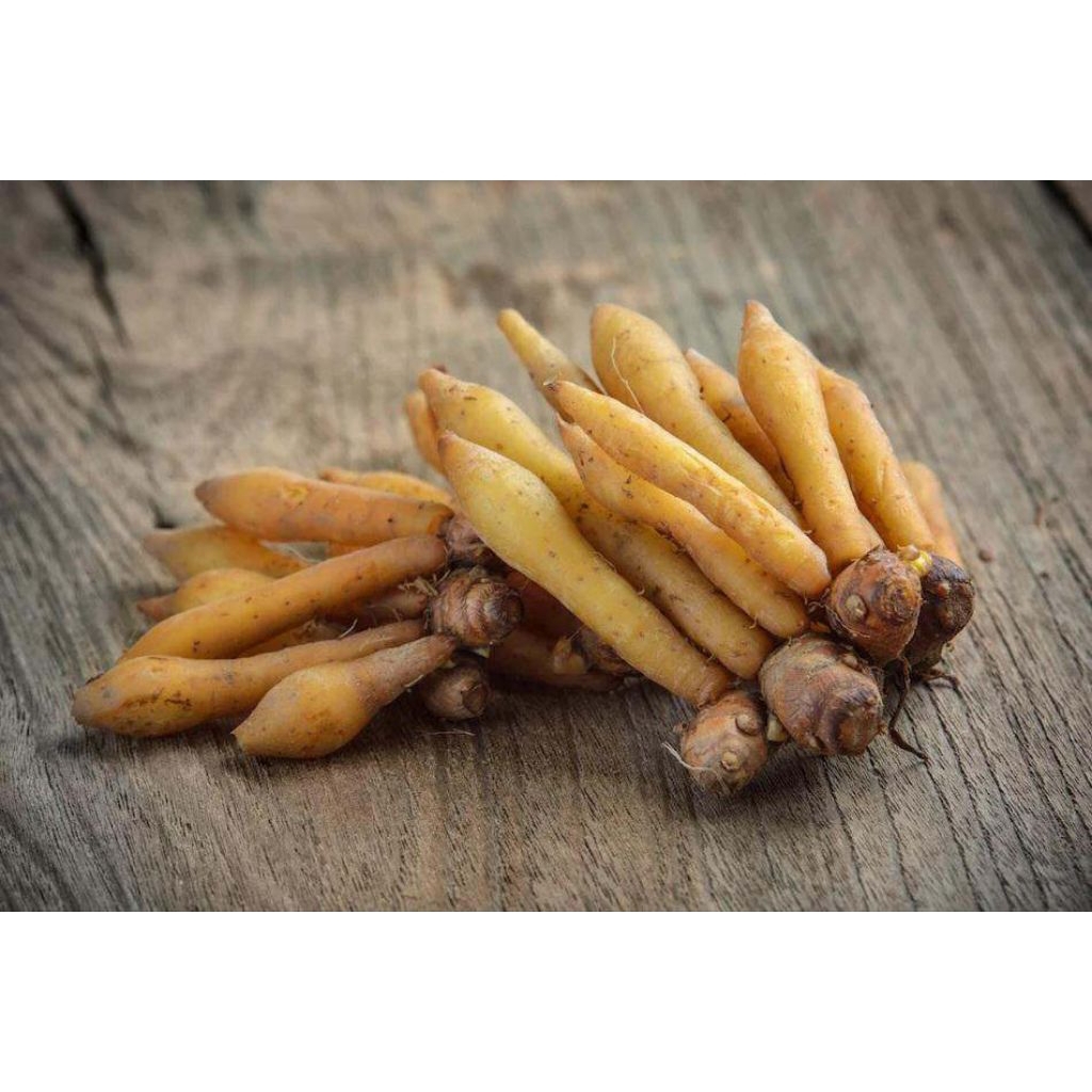 TEMU KUNCI OBAT HERBAL BAHAN JAMU 500 GRAM