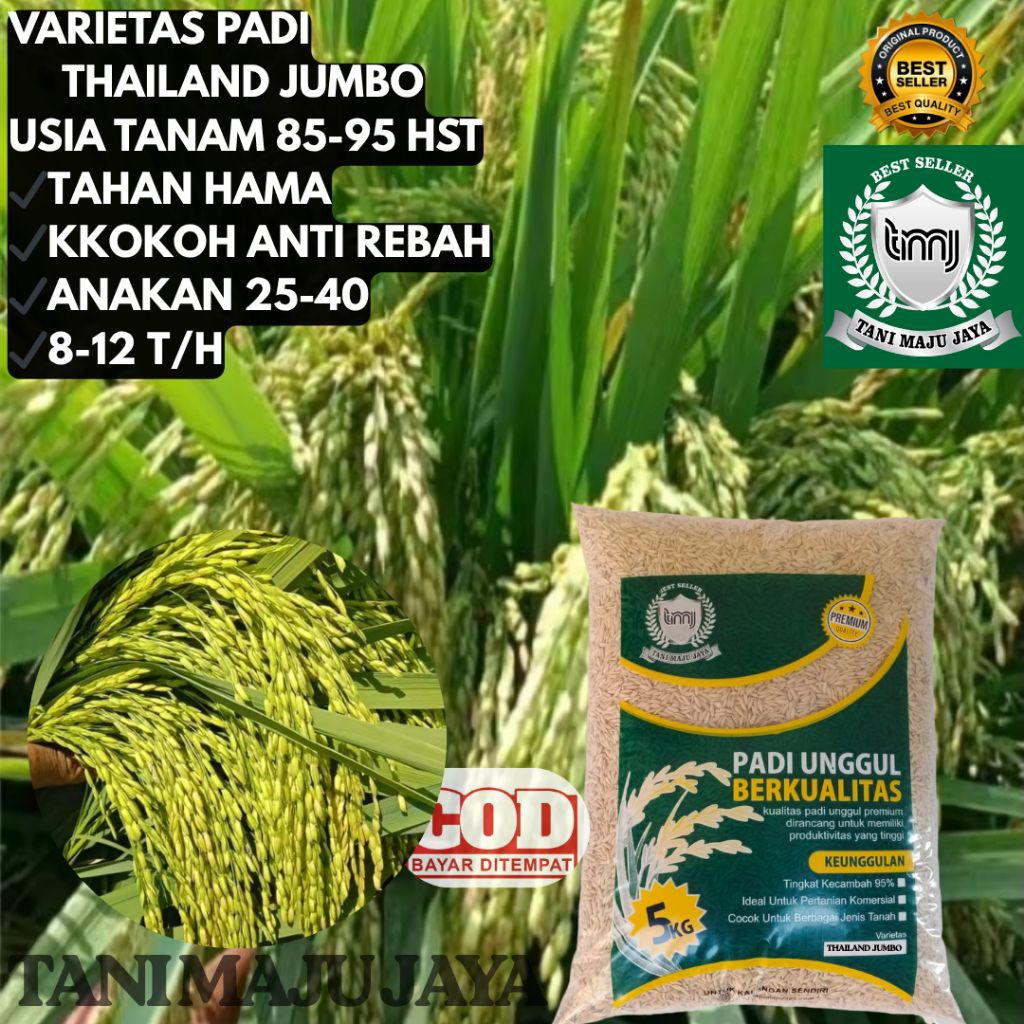 BIBIT PADI BENIH PADI VARIETAS THAILAND JUMBO KEMASAN 5KG