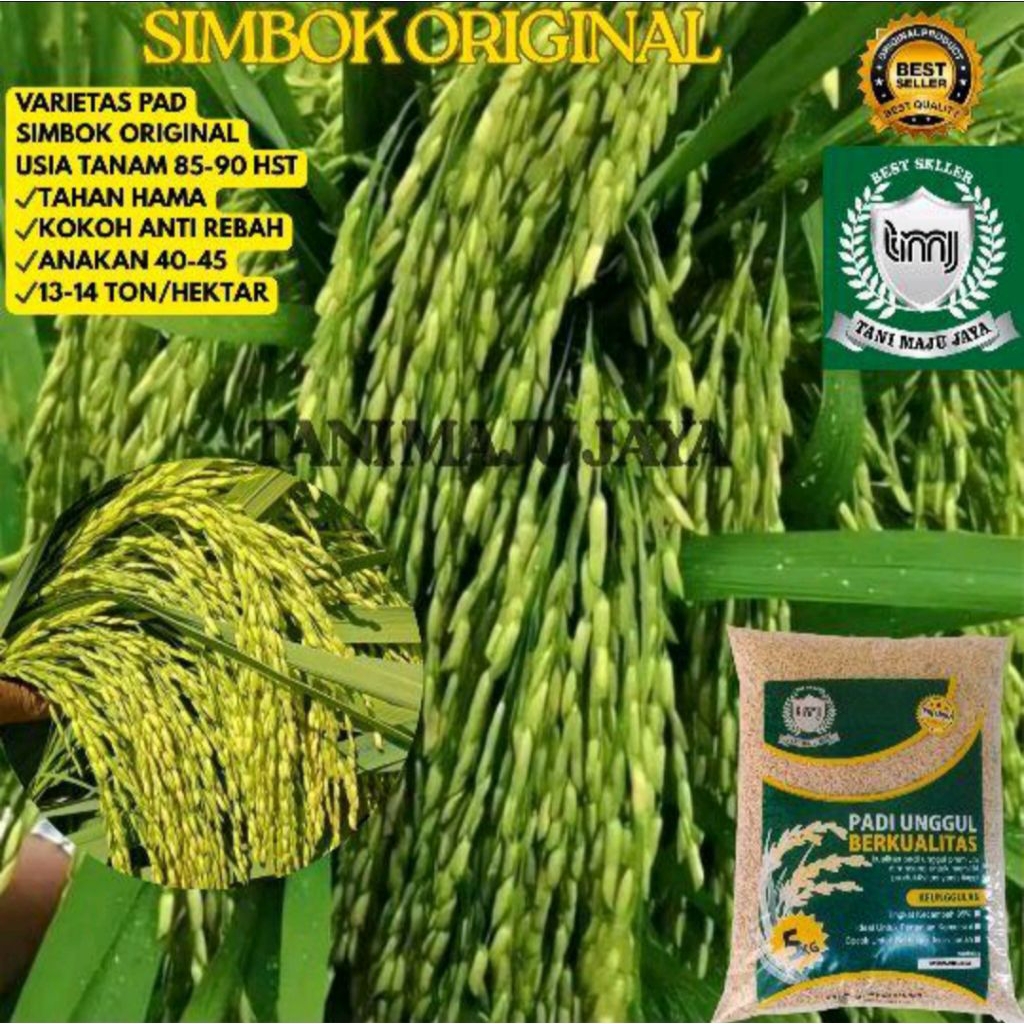 BIBIT PADI BENIH PADI VARIETAS SIMBOK ORIGINAL KEMASAN 5 KG