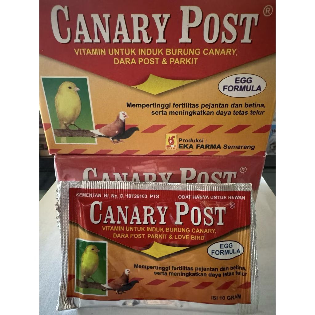 Canary post vitamin indukan burung merpati kenari dan lovebird