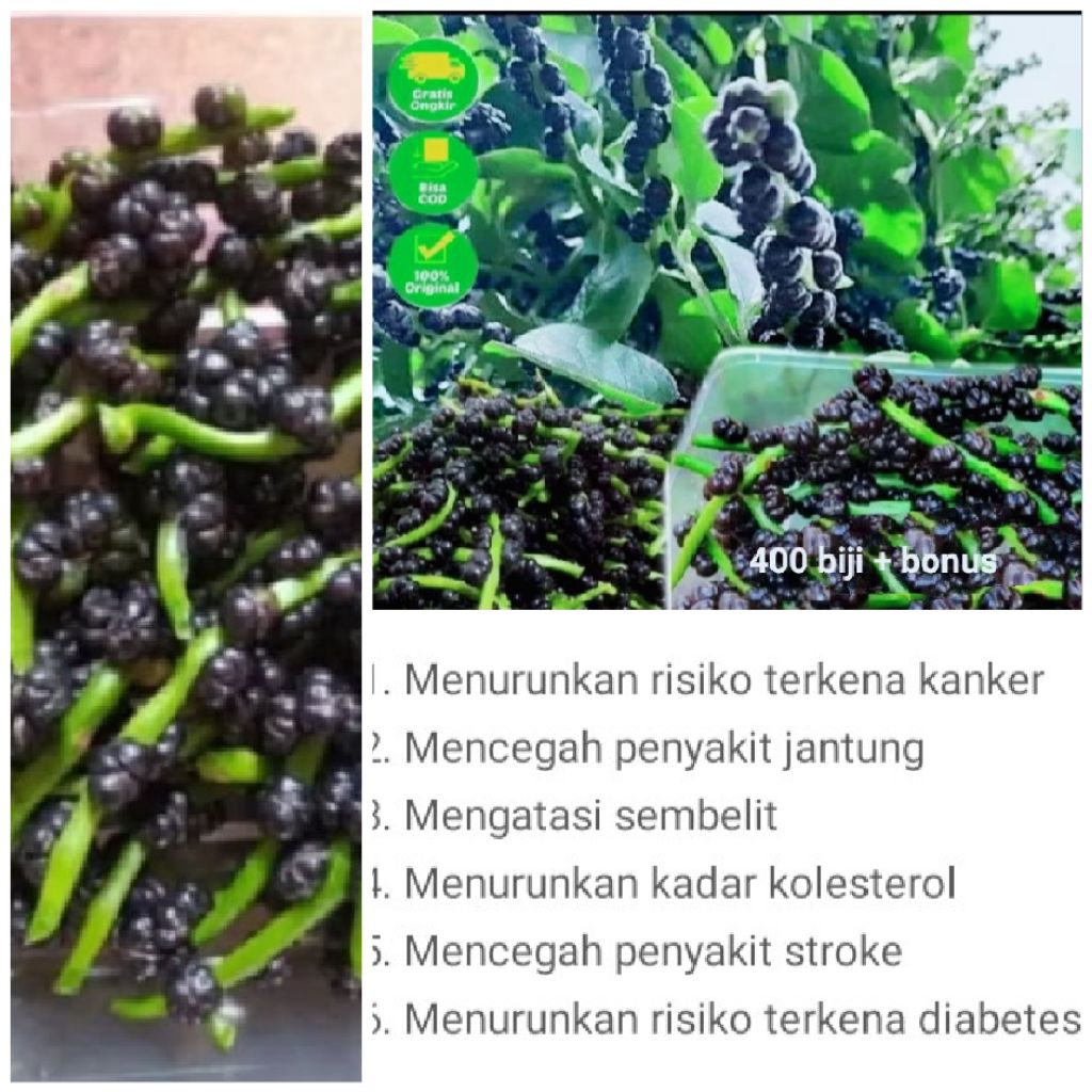 ANGKUNG OBAT STROKE SEGAR 400 BUAH + BONUS