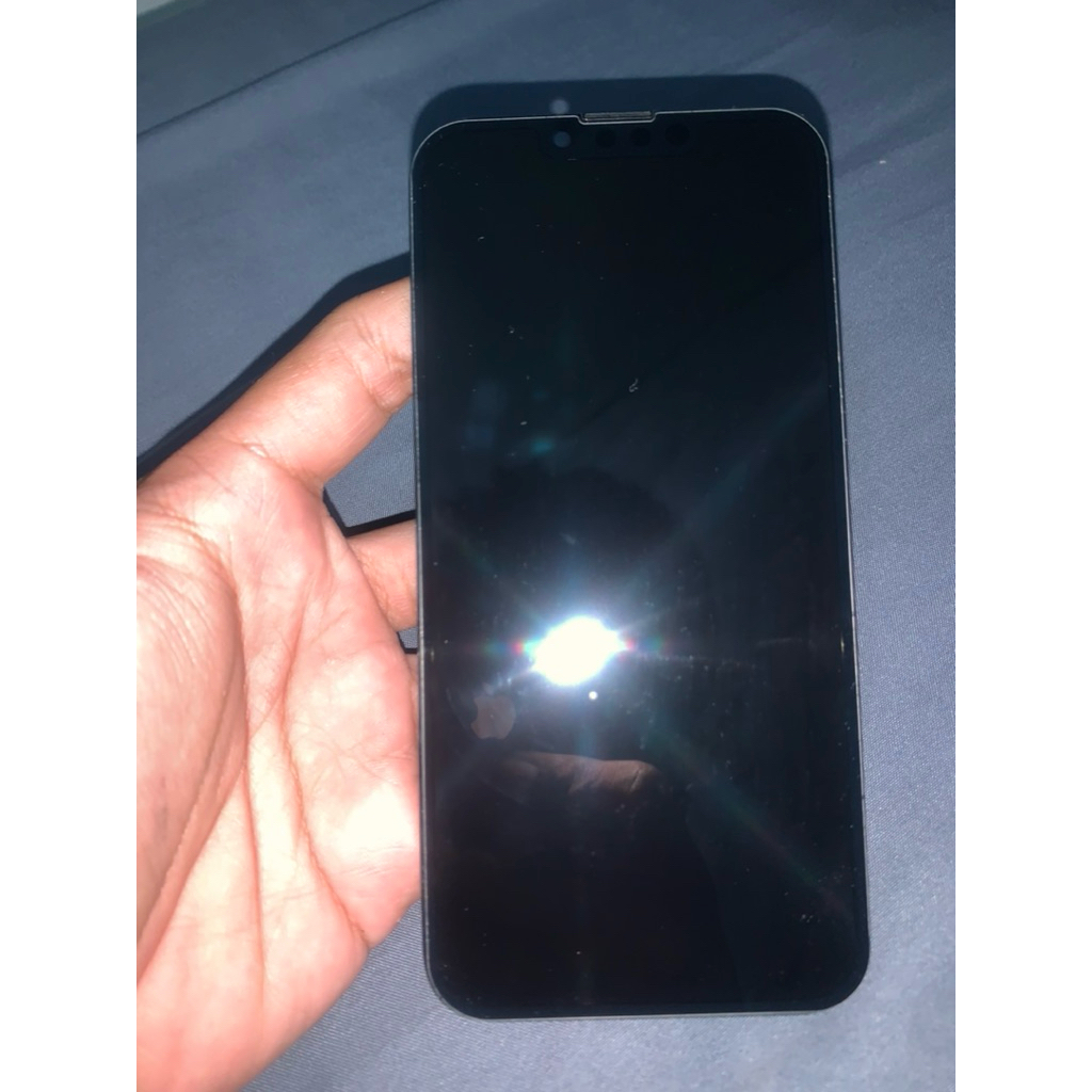 LCD ORI IPHONE 13 pro