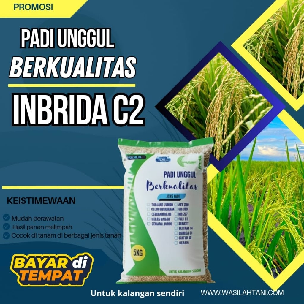 Benih padi unggul INBRIDA C2 ORIGINAL 5kg