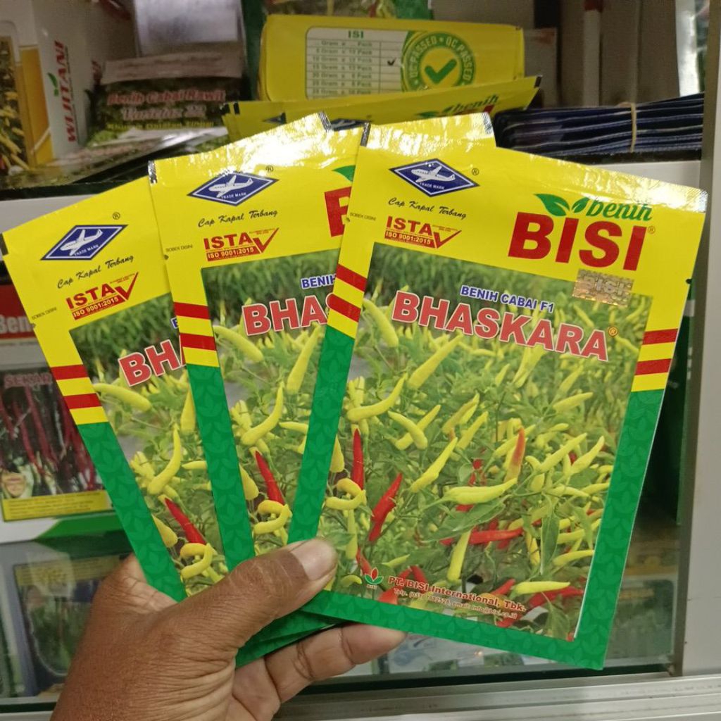 BHASKARA benih cabai rawit hibrida F1.