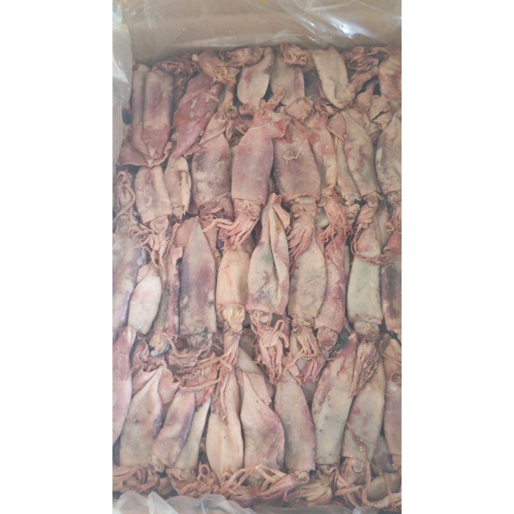 Cumi Asin Kering 1 kg murah
