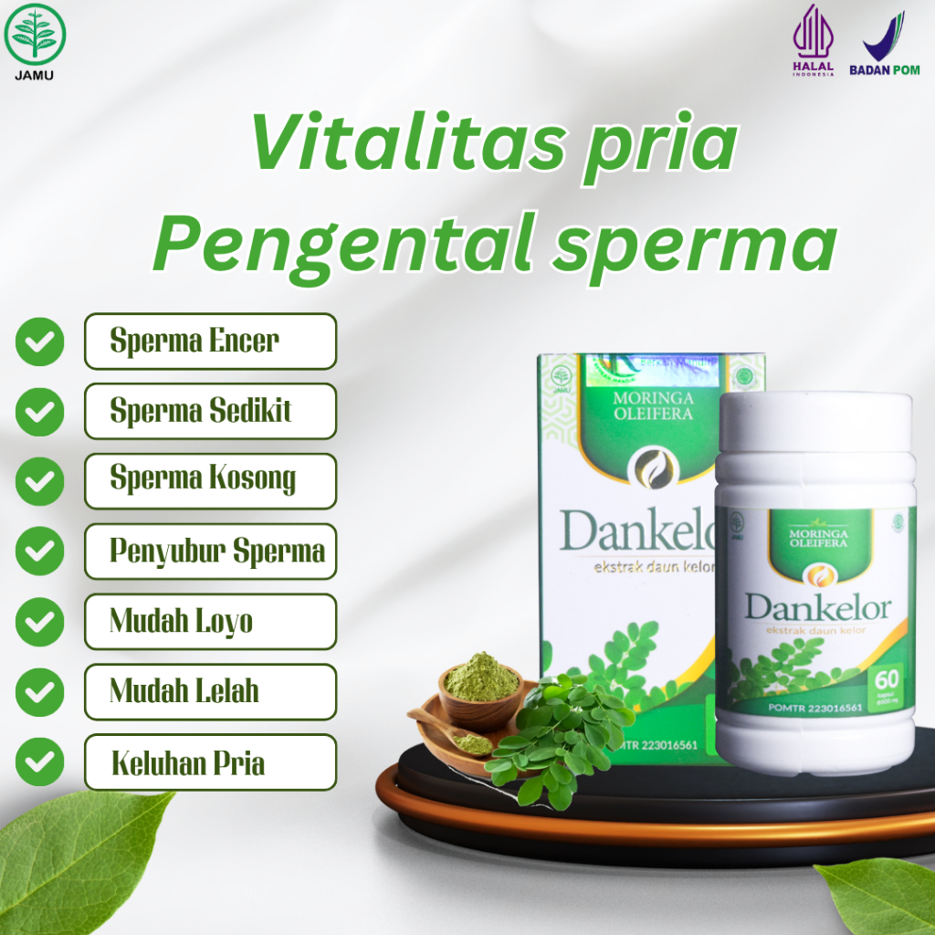 Produk Pengental Sperma Encer Sperma Sedikit Penyubur Sperma Dankelor Ekstrak Daun kelor isi 60 Kaps