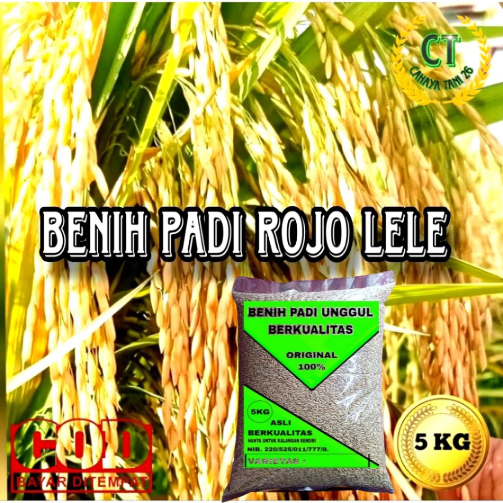 BENIH PADI ROJO LELE SUPER 5KG