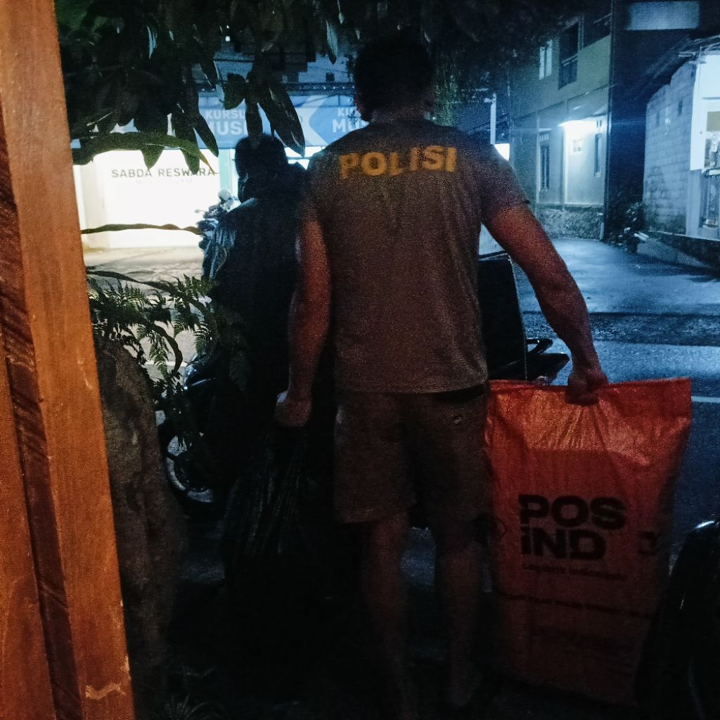 ARWANA SILVER RED 25 CM