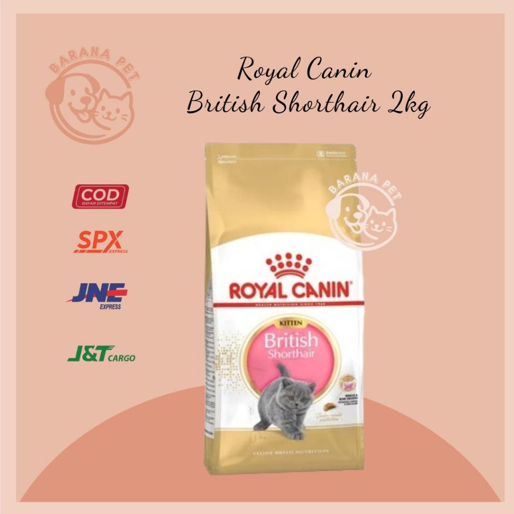 ROYAL CANIN KITTEN BRITISH SHORTHAIR 2KG FRESHPACK _ ROYAL CANIN BRITISH SHORTHAIR KITTEN