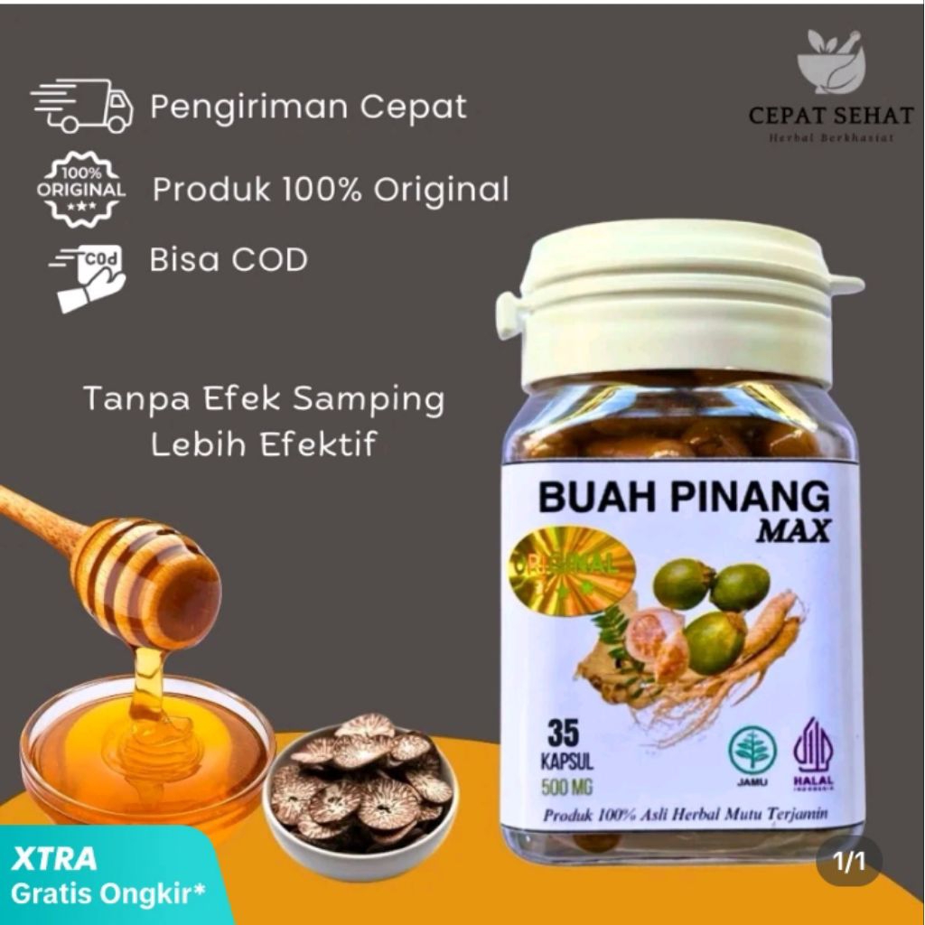 Buah pinang herbal tradisional kapsul vitalitas pria dewasa kuat tahan lama asli original