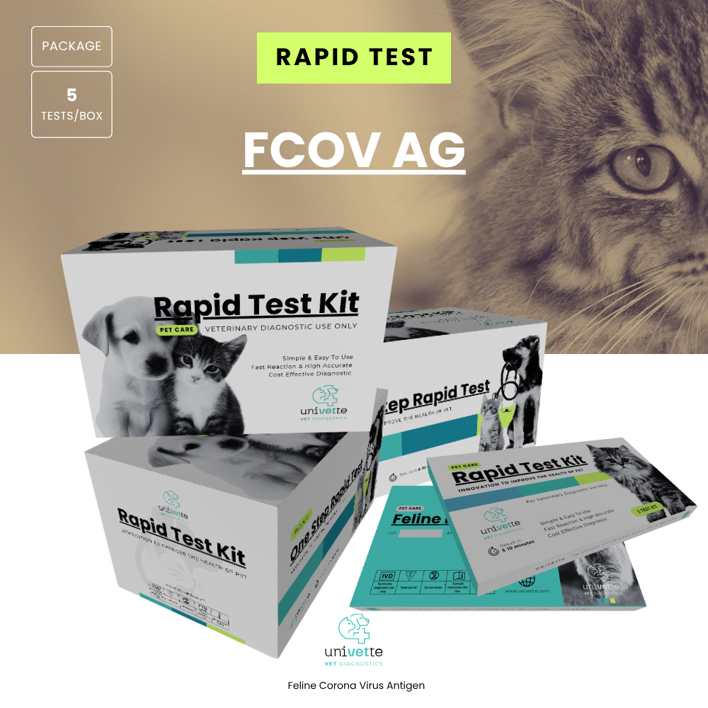 5 PCS/BOX : FCoV Ag/ Feline Corona Virus Antigen/FCoV Ag Rapid test kit/Rapid Test Kucing/Feline Rap