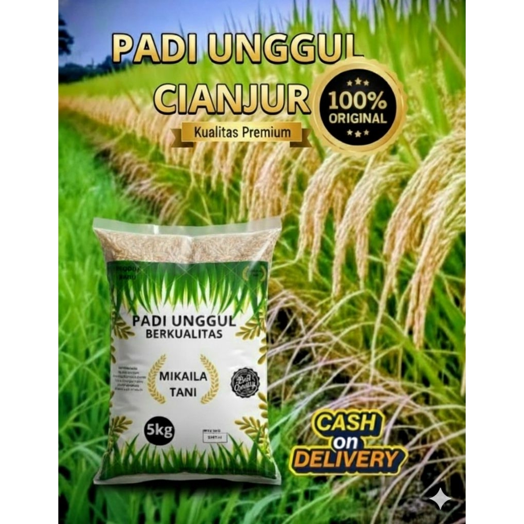 BENIH PADI UNGGUL BERKUALITAS CIANJUR KEMASAN 5KG