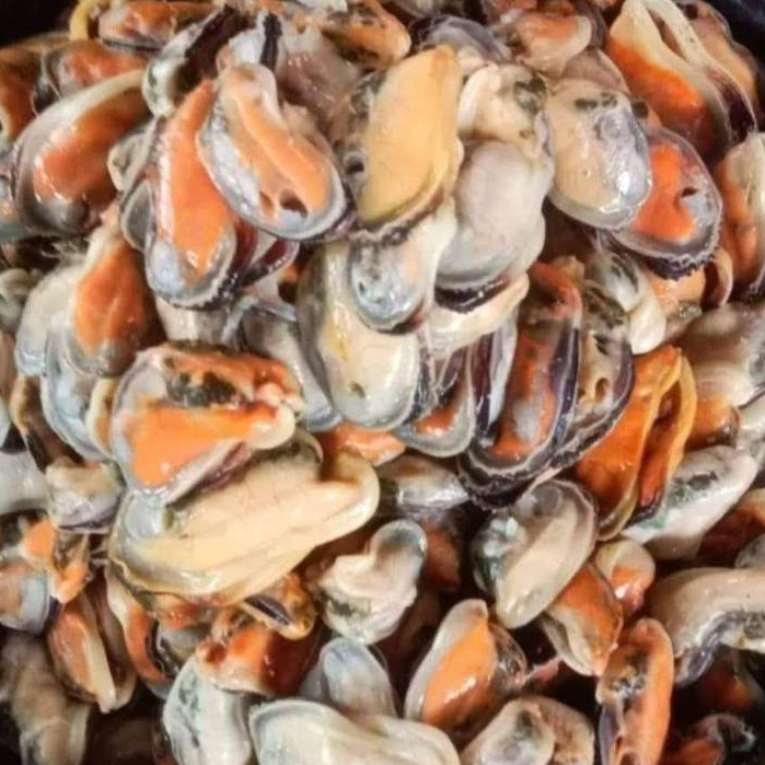 Kerang Hijau Segar Kerang Hijau 1Kg Kerang Hijau Kupas Kerang Ijo Kupas Segar Kerang Laut Hasil Laut