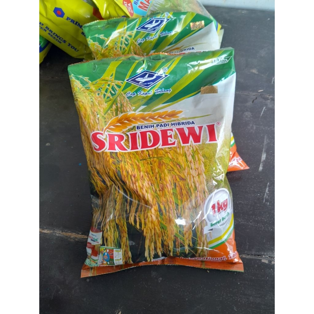 Benih Padi Hibrida SRIDEWI Cap Kapal Terbang
