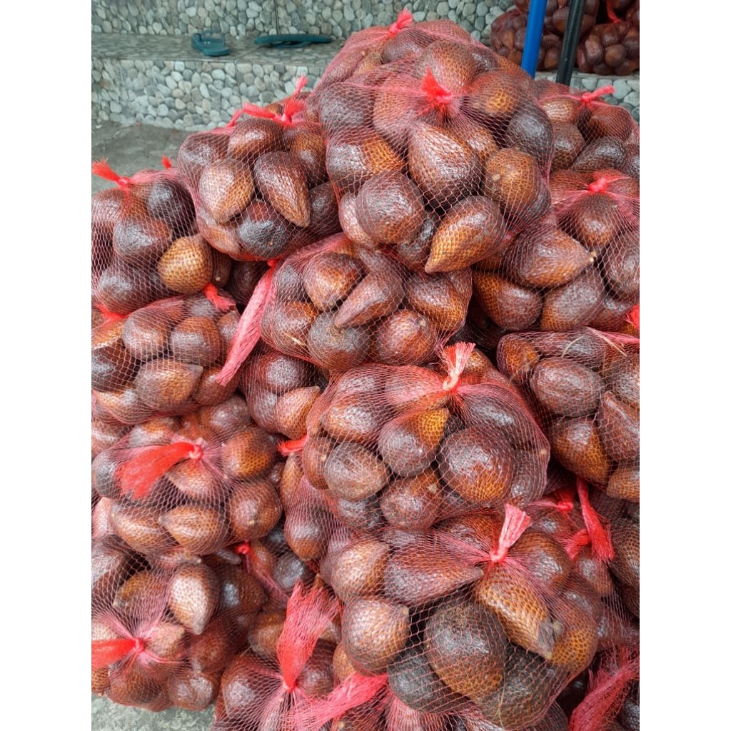 SALAK PONDOH MADU ASLI DI JAMIN MANIS