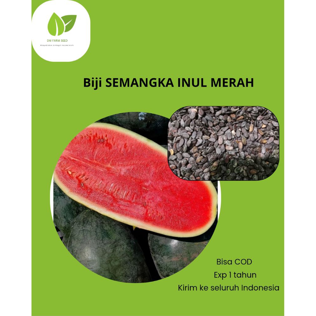 BENIH SEMANGKA INUL MERAH ISI 500BIJI++BONUS